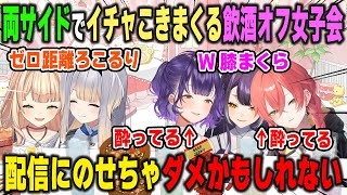 両サイドでイチャコラしすぎた結果、放送禁止寸前により枠即閉じになった飲酒オフ女子会【獅子堂あかり/海妹四葉/鏑木ろこ/栞葉るり/七瀬すず菜/にじさんじ/切り抜き】