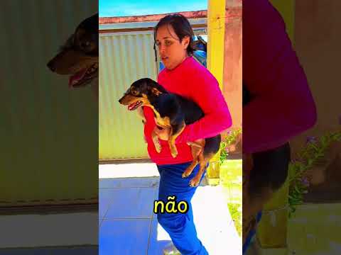 Dia de vacinação contra a raiva em Aragarças.Goiás #increva_se_no_canal #interiordegoias