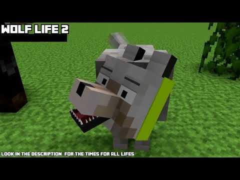 All Minecraft Life 2017 - Craftronix Minecraft Animation