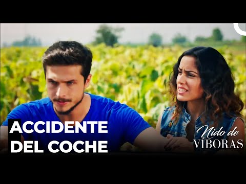 ¡Ejder Está En Peligro!  - Nido De Víboras