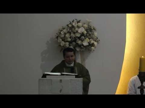 Homilia do dia 27/07/2014 - 17º Domingo do Tempo Comum