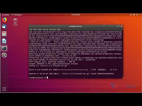 How to install Micro text editor in Ubuntu-18.04 | LinuxHelp Tutorials