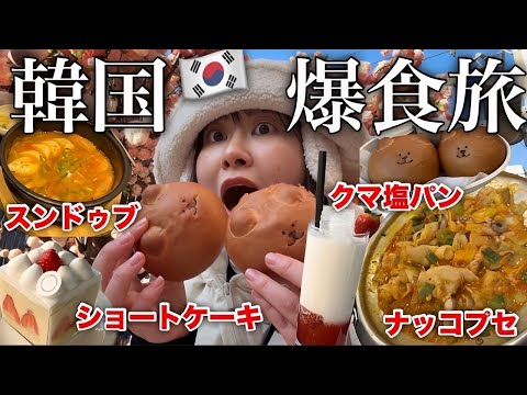 観光ビジネス学科 【韓国爆食ツアー】真冬の韓国で食べ歩きしまくったら今日も最高に楽しかった！イェイ！