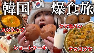 【韓国爆食ツアー】真冬の韓国で食べ歩きしまくったら今日も最高に楽しかった!イェイ!