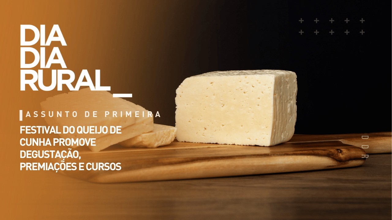 Festival do Queijo de Cunha promove degustação, premiações e cursos