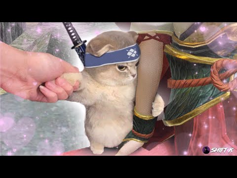 MONSTER HUNTER RISE.EXE