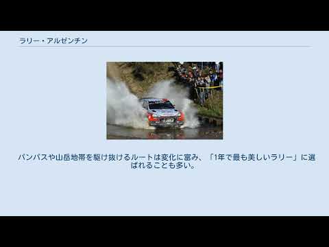 ラリー・アルゼンチン - 定義