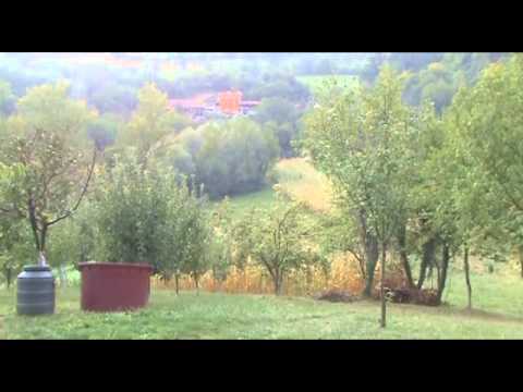 Veseli Orehovčani - Pijte pajdaši