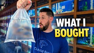 Buying Rare Cichlids from an Incredible Fish Store (Tour)