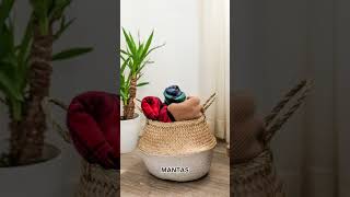 Video de Cesto Agadir Mediano
