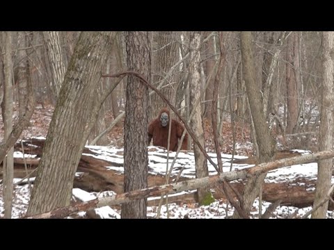 REAL ANGRY BIGFOOT ENCOUNTER CAUGHT ON TAPE