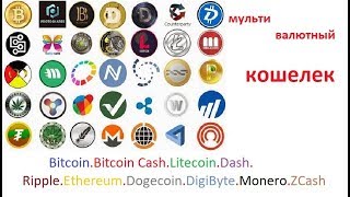 Multivalyutnyj Koshelek Bitcoin Cash Litecoin Dash Ripple Ethereum - 