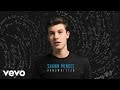 Shawn Mendes - Never Be Alone (Audio)