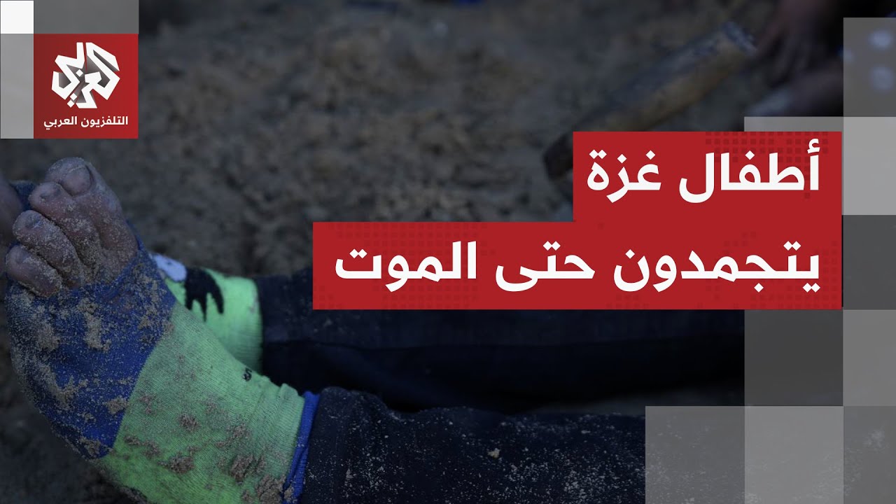 تجمدوا حتى الموت.. أطفال غزة يواجهون مصيرًا مأساويًا جراء البرد