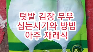 [텃밭관리] 텃밭 무우 심는시기와 심는방법