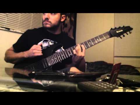 RG2228 8 string chordal piece - Dean Murphy