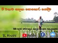 වී වගාවේ පොහොර යෙදීම Paddy 09
