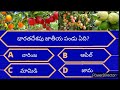 Interesting Questions In Telugu||Facts in Telugu||Telugu Quiz||Generalknowledge in Telugu| Episode-9