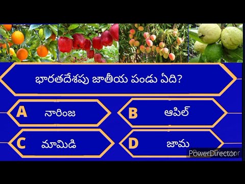 Interesting Questions In Telugu||Facts in Telugu||Telugu Quiz||Generalknowledge in Telugu| Episode-9