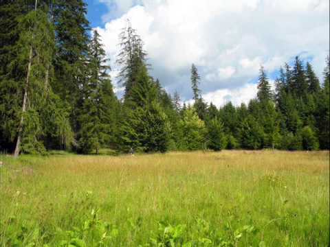 Nicolae Ghebaura si Fratii Milos Ascultare