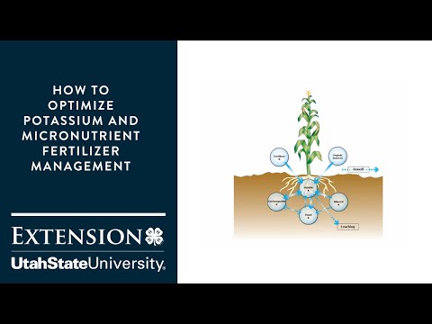 How to Optimize Potassium and Micronutrient Fertilizer Management