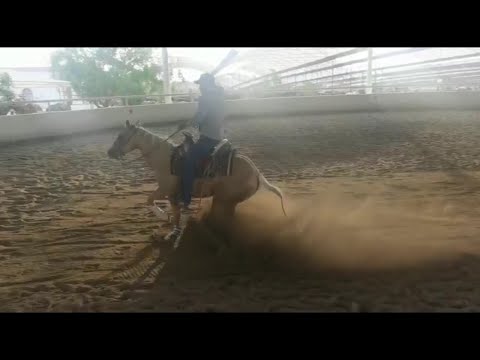 C17P5 EL CAMINO AL FUTURITY VIP - Antonio "Toño" Díaz Paz