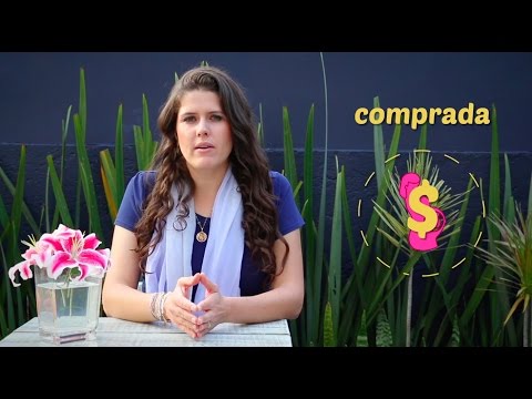 ¿Qué es el útero subrogado?
