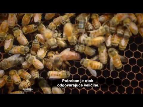 Al Jazeera Svijet - 22.11.2015.