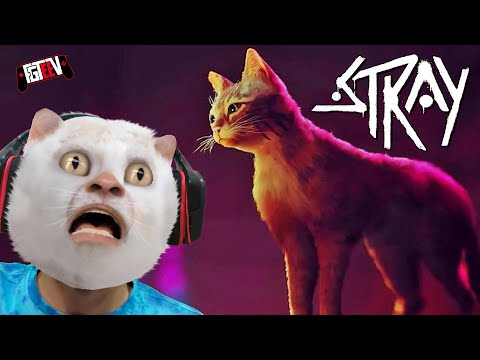 I'm a Cat ... Meow! (STRAY plays FGTeeV)