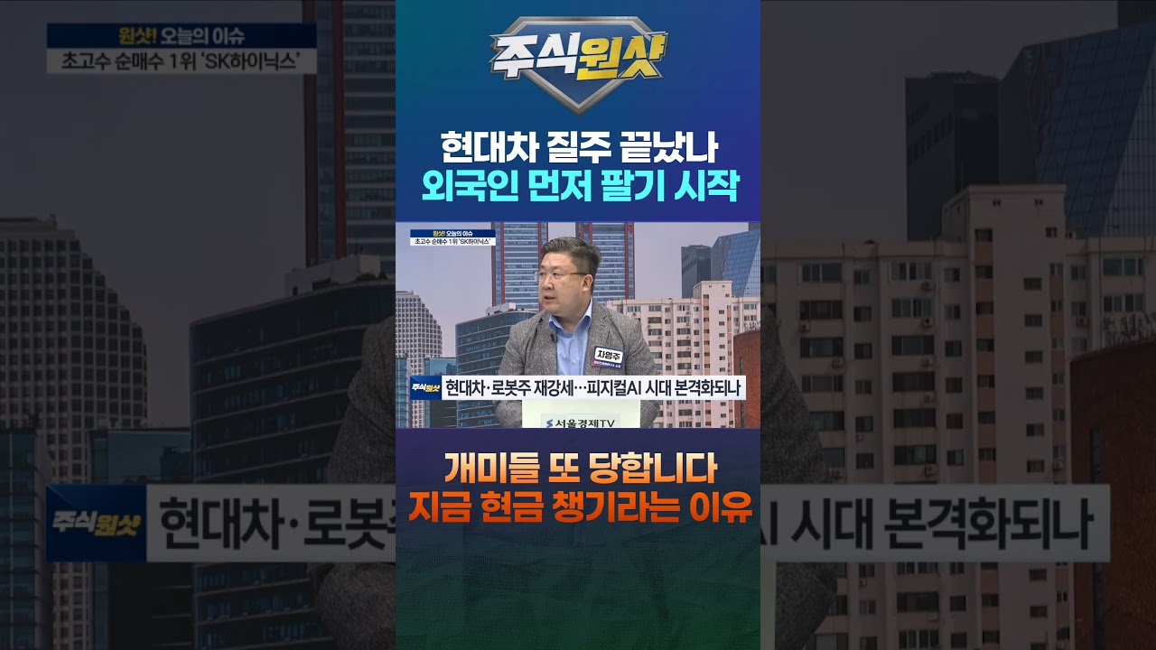 현대차 질주 끝났나 외국인 먼저 팔기 시작 개미들 또 당합니다 지금 현금 챙기라는 이유