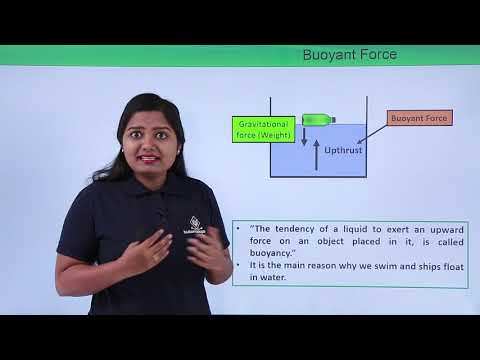 Class 9th Physics GRAVITATION Gravitation introduction