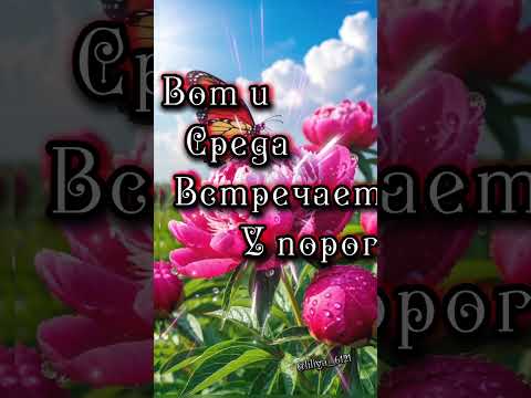 С добрым утром вторника 🌞🌼🌞 #доброеутро #сдобрымутром #хорошегодня #открытка