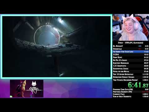 Stray AGDQ 100% Glitchless Submission