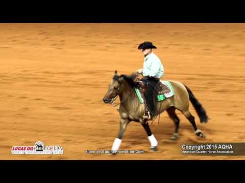 EINSTEINS DUN IT ridden by GARTH HYSTAD  - 2015 AQHA World Show (FINALS - Ama Reining L3)