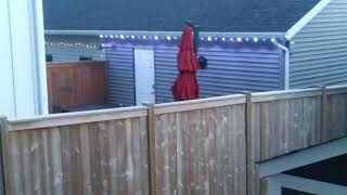 Color changing lights.