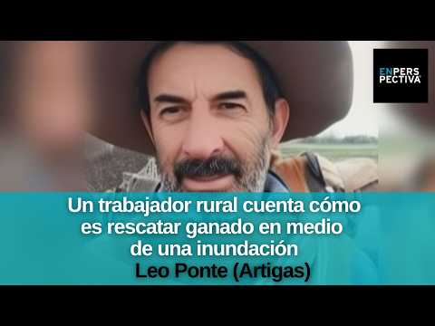 Inundaciones, un ángulo escondido: Trabajadores del campo rescatan ganado de la crecida de un río