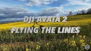 FLYING THE LINES