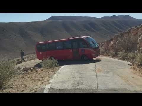 Las aventuras del Gato Andino por la región de Arica y Parinacota 2024...