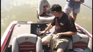 Accu-Cull The Ultimate Culling System