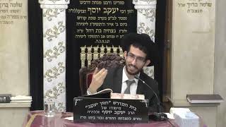 הרב נדב שרפי  •  יום טו' באב (הערוץ של בית הכנסת מוסאיוף) - התמונה מוצגת ישירות מתוך אתר האינטרנט יוטיוב. זכויות היוצרים בתמונה שייכות ליוצרה. קישור קרדיט למקור התוכן נמצא בתוך דף הסרטון