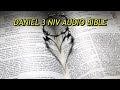 DANIEL 3 NIV AUDIO BIBLE(with text)