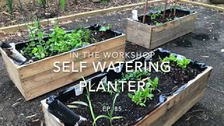 Self watering or Sub Irrigated Planters (SIP)