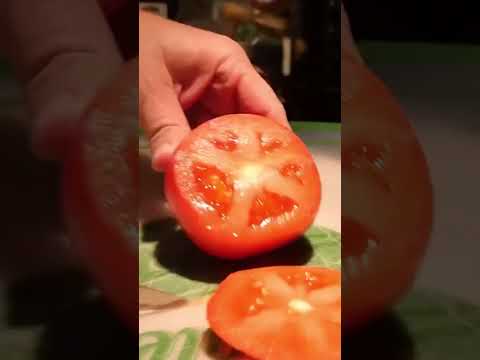 Slicing onions and tomatoes for burgers #blackstonegriddle #burger #cheeseburger #smashburger