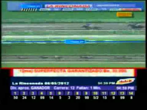 11 CARRERA DOMINGO 6 MAYO LA RINCONADA AUDIOHIPISMO