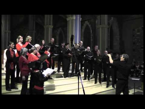 The Seal Lullaby - Eric WHITACRE (Coro de Cámara Patagonia / dir. e a malachevsky)