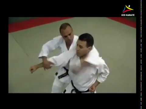 Bunkai Heian Godan - Karaté Shotokan - Didier Lupo