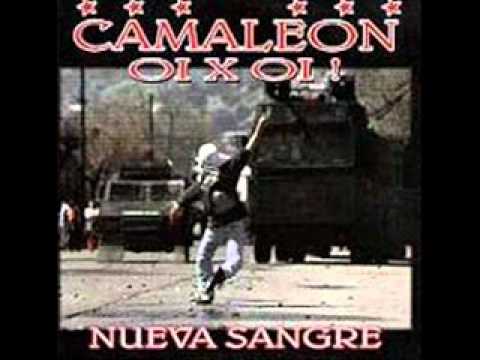 camaleon oi! x oi! - skinhead.