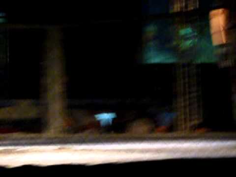 Eliton Gama (Othon Sevalho) X Thiago Batista (Alfa) - 1 Round