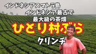 【2026-10-12】今晩はインドネシア『スマトラ島』クリンチ村から村ぶら配信!