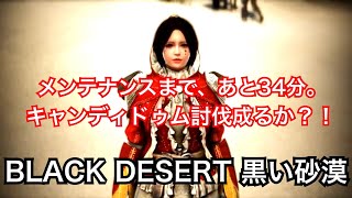 #245 MMORPG PS5 黒い砂漠 メンテナンスまであと34分、キャンディドゥム討伐。実況あり。